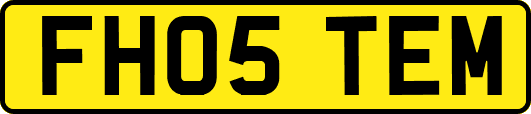 FH05TEM