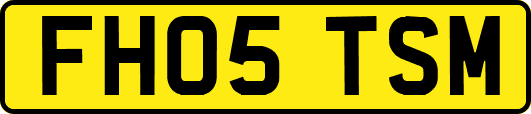 FH05TSM