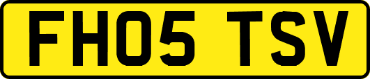 FH05TSV