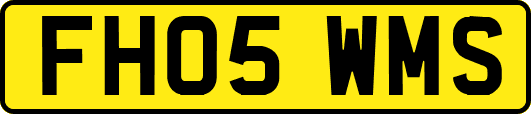 FH05WMS