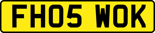 FH05WOK