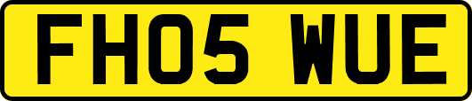 FH05WUE