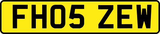 FH05ZEW