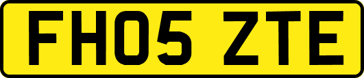 FH05ZTE