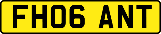 FH06ANT