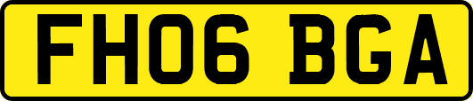 FH06BGA