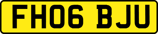 FH06BJU