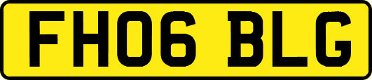 FH06BLG