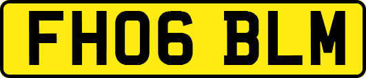 FH06BLM