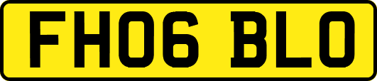 FH06BLO