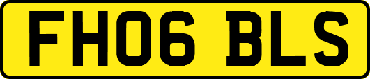 FH06BLS