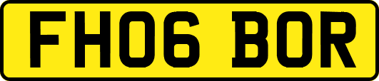 FH06BOR