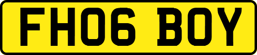 FH06BOY