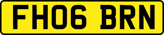 FH06BRN