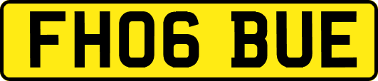 FH06BUE
