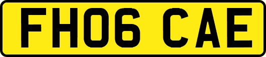 FH06CAE
