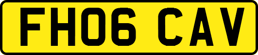 FH06CAV