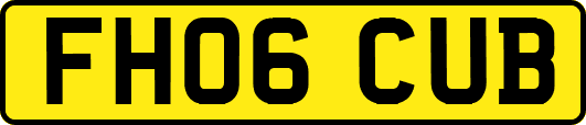 FH06CUB