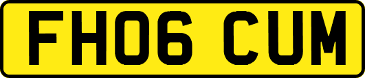 FH06CUM