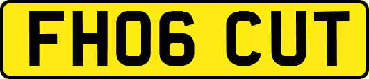 FH06CUT