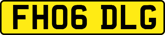 FH06DLG