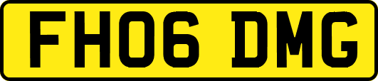FH06DMG