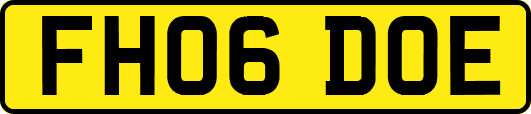 FH06DOE