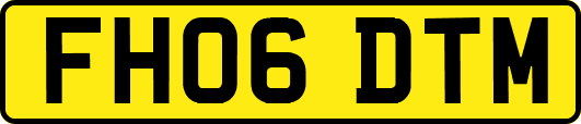 FH06DTM