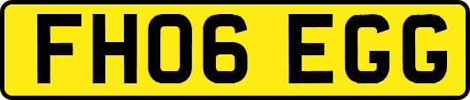 FH06EGG
