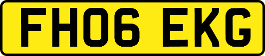 FH06EKG