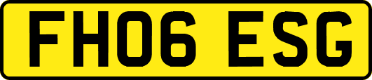FH06ESG