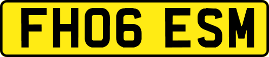 FH06ESM