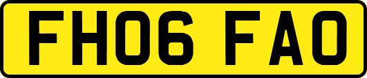 FH06FAO