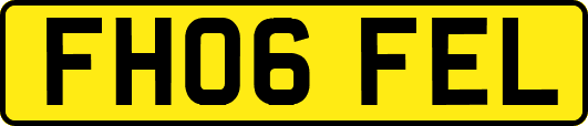 FH06FEL