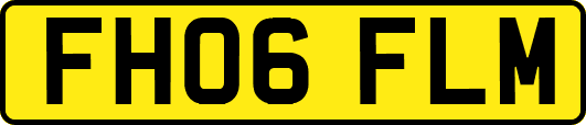 FH06FLM