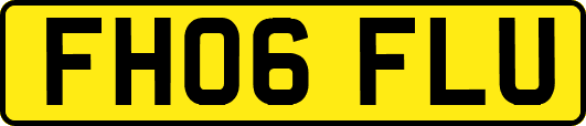 FH06FLU