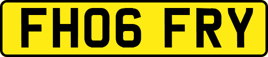 FH06FRY
