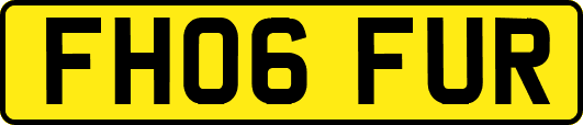 FH06FUR