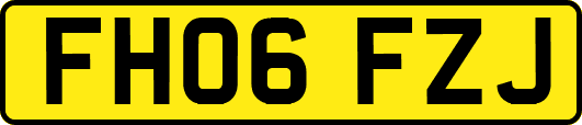 FH06FZJ