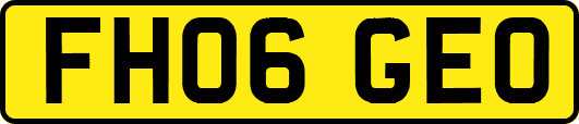 FH06GEO