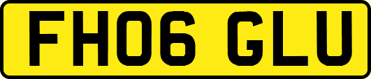 FH06GLU