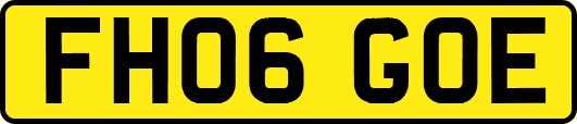 FH06GOE