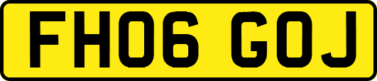 FH06GOJ