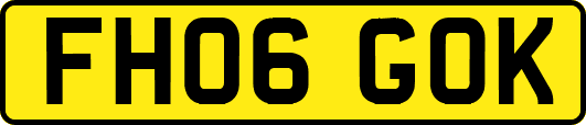 FH06GOK