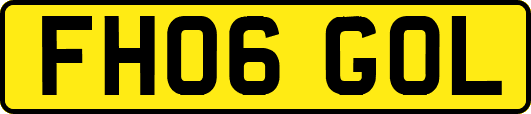 FH06GOL