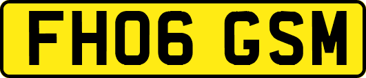 FH06GSM