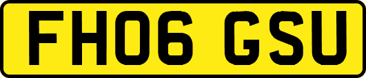 FH06GSU