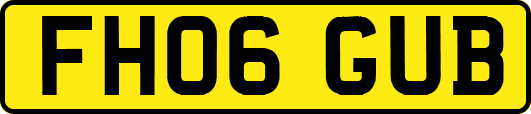 FH06GUB