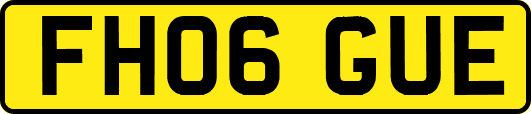 FH06GUE