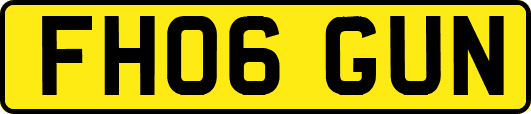 FH06GUN